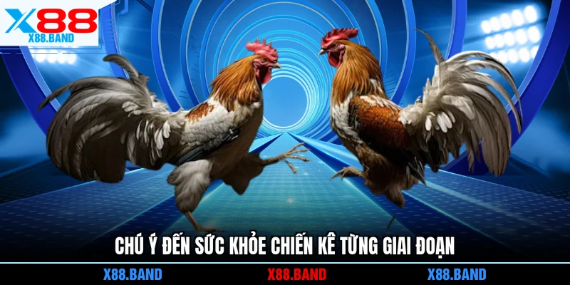 Chú ý đến sức khỏe chiến kê từng giai đoạn