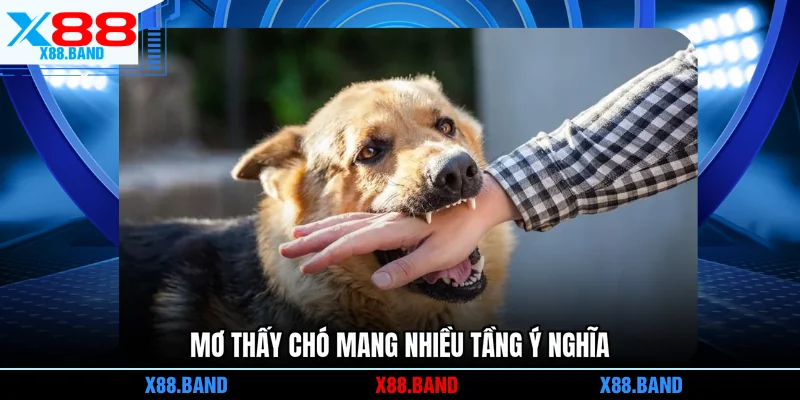 Mơ thấy chó mang nhiều tầng ý nghĩa