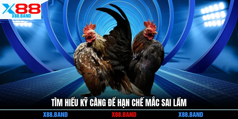 Tìm hiểu kỹ càng để hạn chế mắc sai lầm